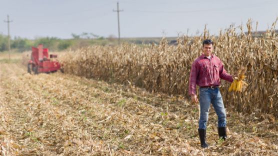 Installation d’un agriculteur : l’âge (ne) fait (pas) tout ?