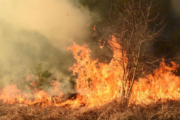 Prévention et lutte contre les incendies : renforcement de la réglementation