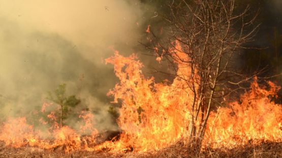 Prévention et lutte contre les incendies : renforcement de la réglementation