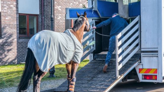 Transport de chevaux par un agriculteur = chronotachygraphe ?