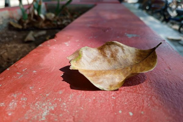 Taxe annuelle sur les logements vacants : dans quelles communes ?