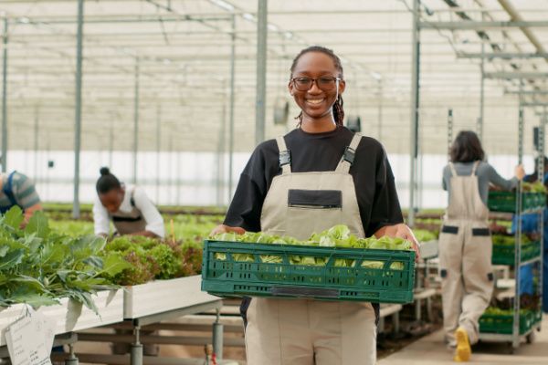 Dons alimentaires aux cantines scolaires = réduction d’impôt ?