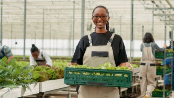 Dons alimentaires aux cantines scolaires = réduction d’impôt ?