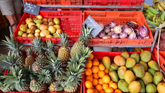 Aide exceptionnelle pour les producteurs de légumes et de fruits en outre-mer : déposez vite vos dossiers !