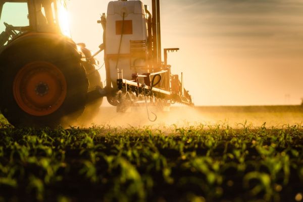 Prosulfocarbe : herbicide toujours autorisé, mais plus encadré