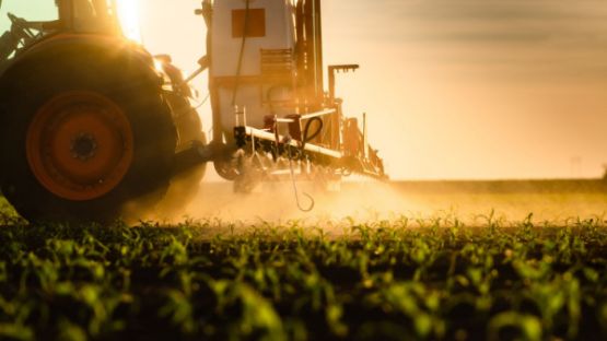 Prosulfocarbe : herbicide toujours autorisé, mais plus encadré