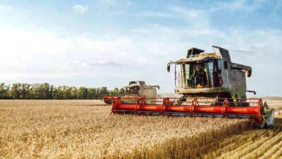 Vente d’entreprise agricole : le statut, ça compte ! 