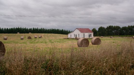 Bail rural : une résiliation toujours possible ?