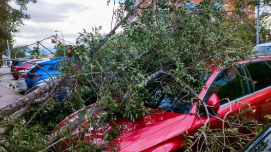 Tempête Ciaran : l’État vole au secours des entrepreneurs