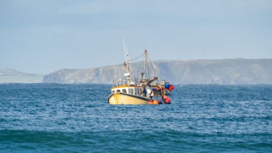 Pêche dans les eaux du Royaume-Uni : du nouveau concernant les licences d’accès !