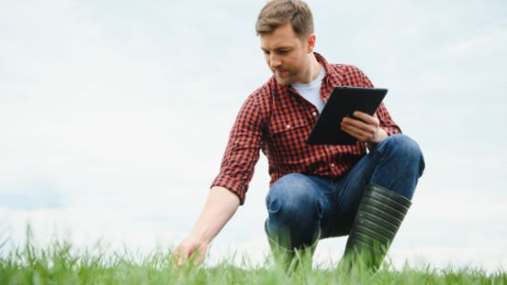 Aide complémentaire au revenu pour les jeunes agriculteurs : quel montant pour 2023 ?