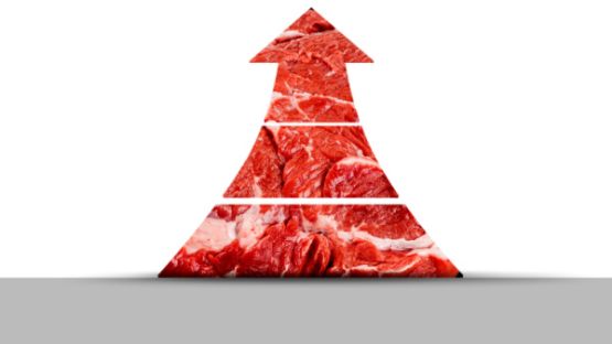 Prix de la viande : hausse en vue ?