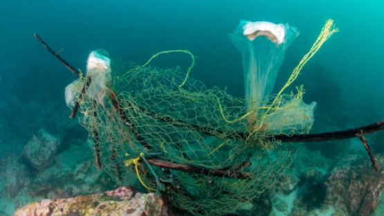 Pêche durable : création d’une plateforme web pour mieux informer les pêcheurs