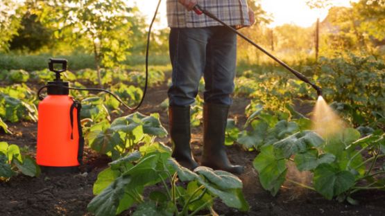 Pesticides : rappels utiles sur la réglementation