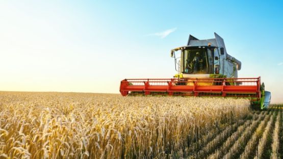 Métiers en tension : l’ajout (attendu) des métiers agricoles