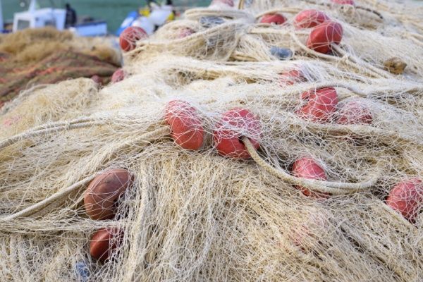 Investir dans un bateau de pêche à La Réunion : un avantage fiscal à la clé ?