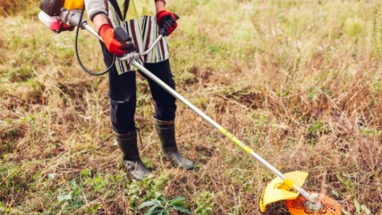 Incendies de forêt : plus d’informations pour une meilleure prévention !