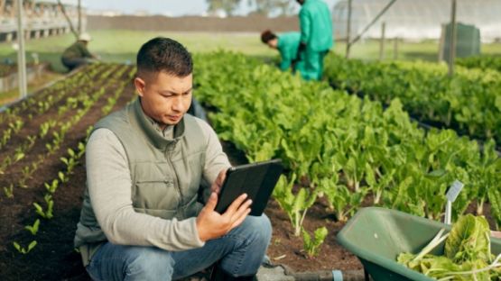 Secteur agricole : relèvement du plafond TO-DE ! 