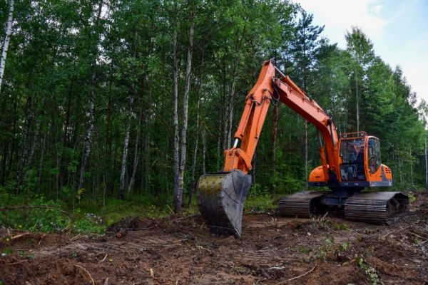 Travaux de défrichement : ne pas aller plus vite que la musique…