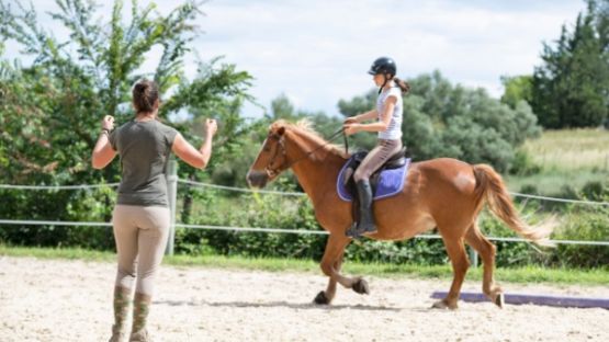 Activités équestres et TVA à 5,5 % : des précisions !