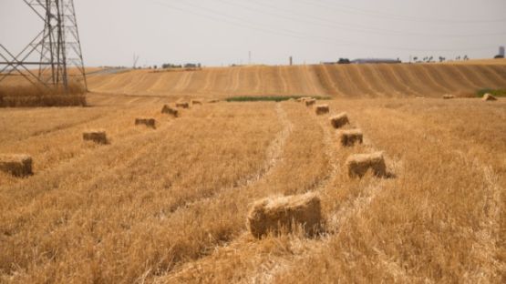 Un exploitant agricole… qui ne l’est pas vraiment ?