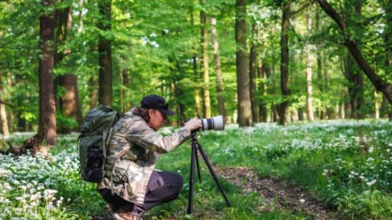 Photographe professionnel : attention au taux de TVA applicable !