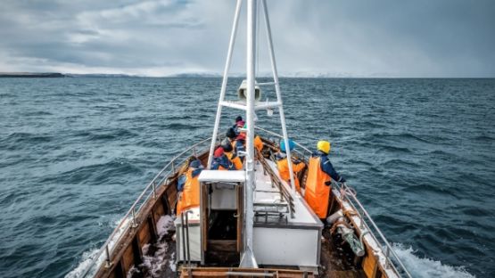 Risques professionnels maritimes : renforcement des obligations de prévention